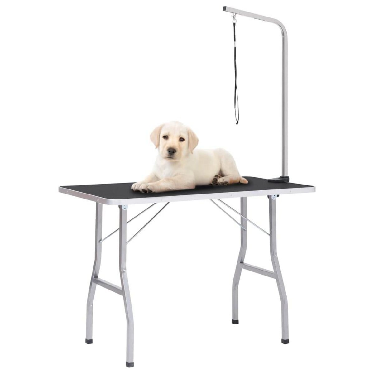 VIDAXL Table de toilettage reglable pour chiens avec 1 boucle