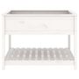 Voir la diapositive 5 : VIDAXL Jardiniere et etagere Blanc 111,5x111,5x81cm Bois massif de pin