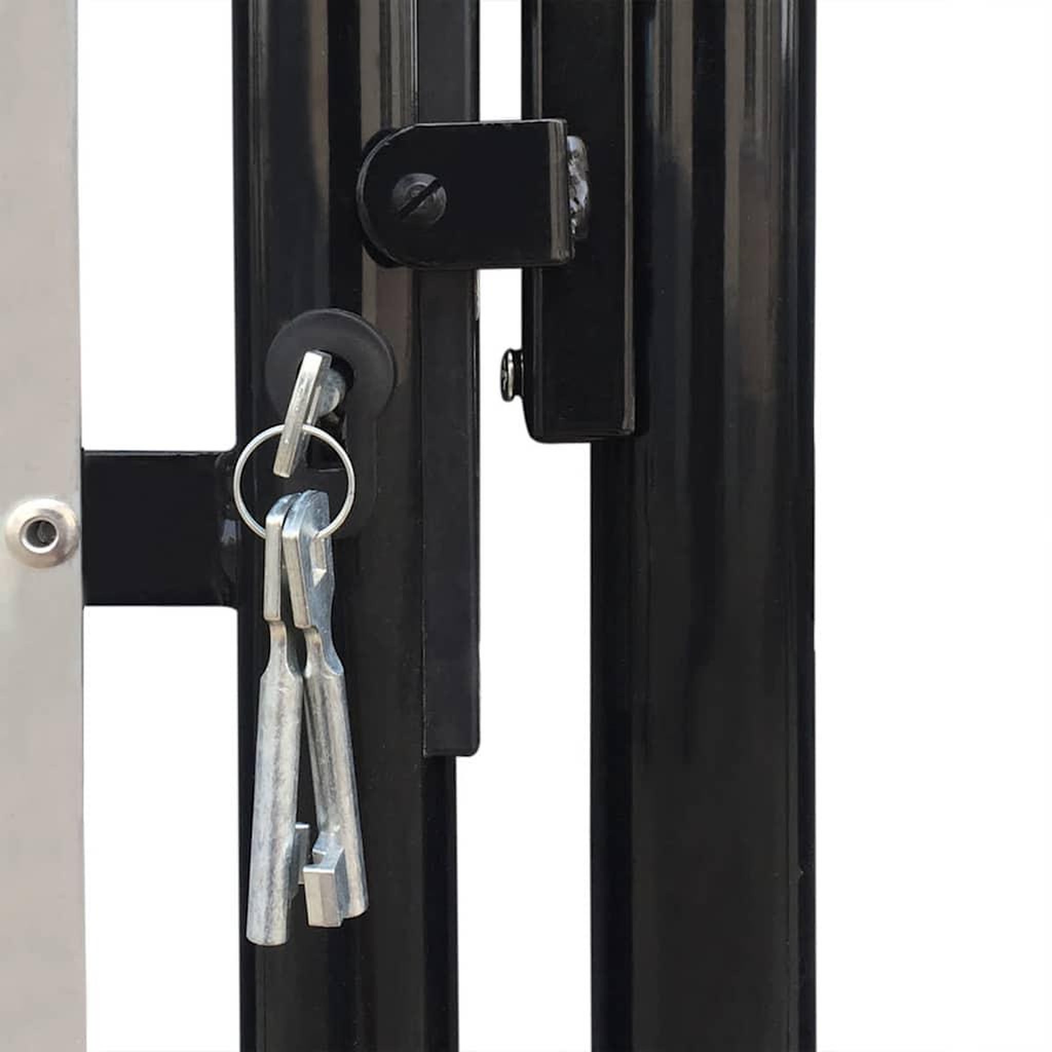 Voir la diapositive 4 : VIDAXL Portail de cloture noir a une porte 100x150 cm