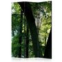Voir la diapositive 1 : Paris Prix Paravent 3 Volets  Spring in the Park  135x172cm