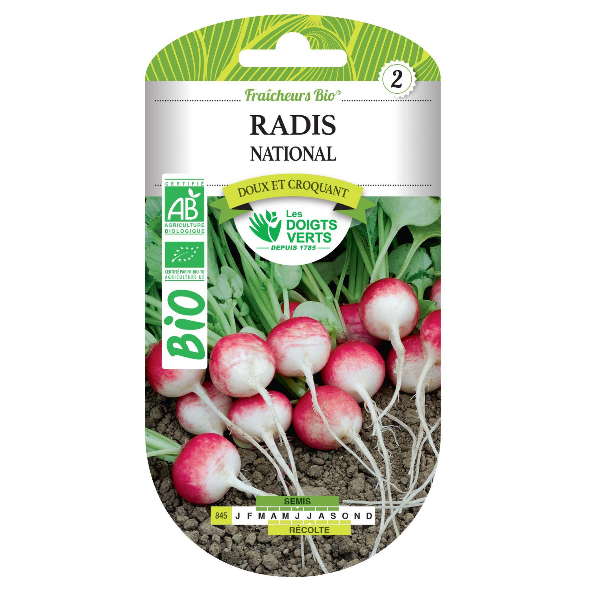 LES DOIGTS VERTS Graines de radis national BIO Les Doigts Verts