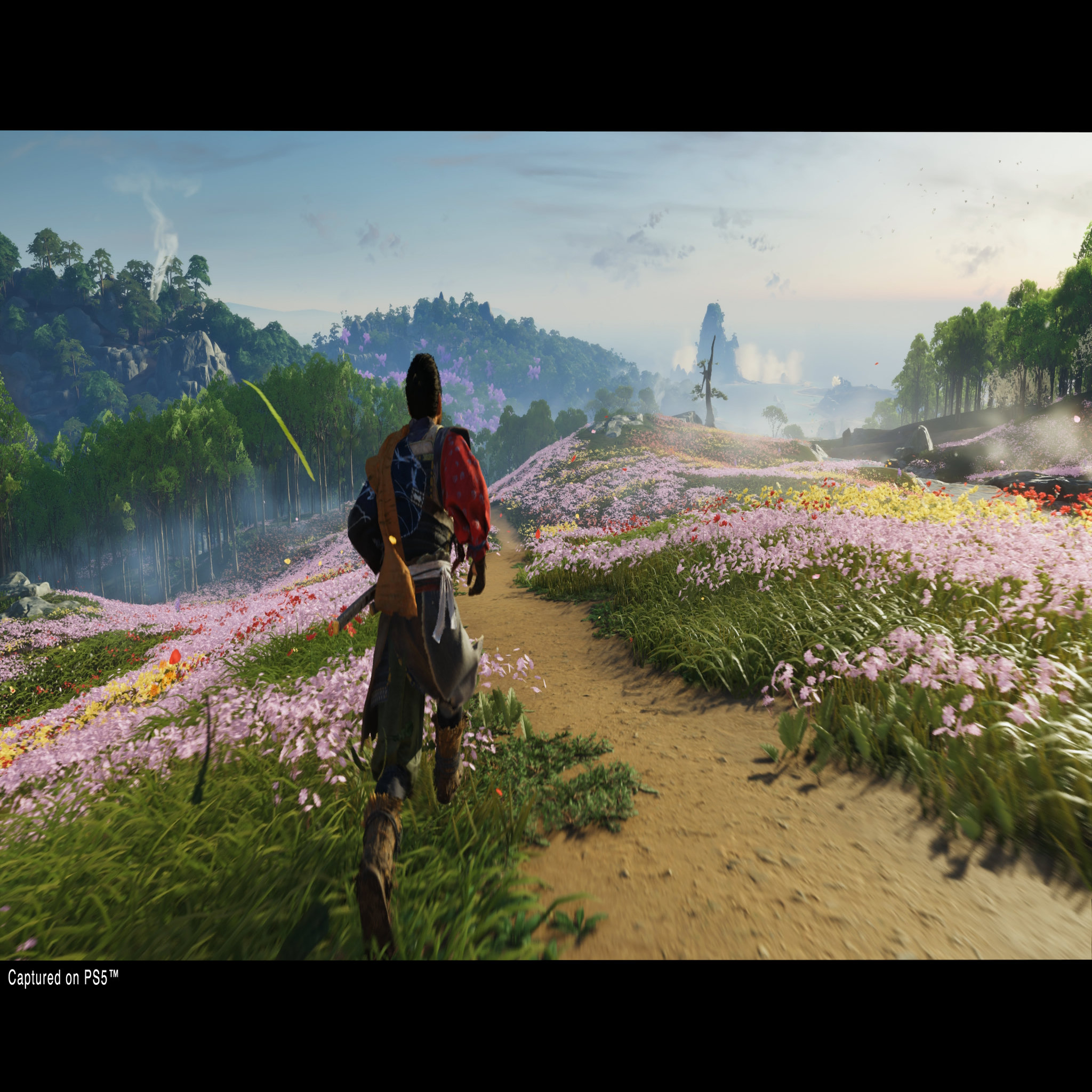 Voir la diapositive 6 : SONY Ghost Of Tsushima Director's Cut PS4