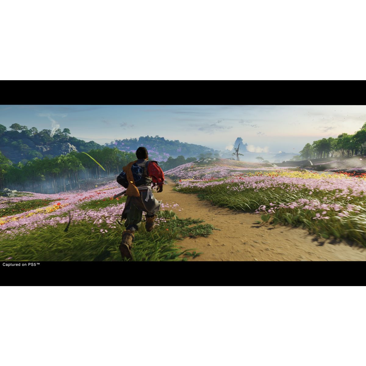 SONY Ghost Of Tsushima Director's Cut PS4