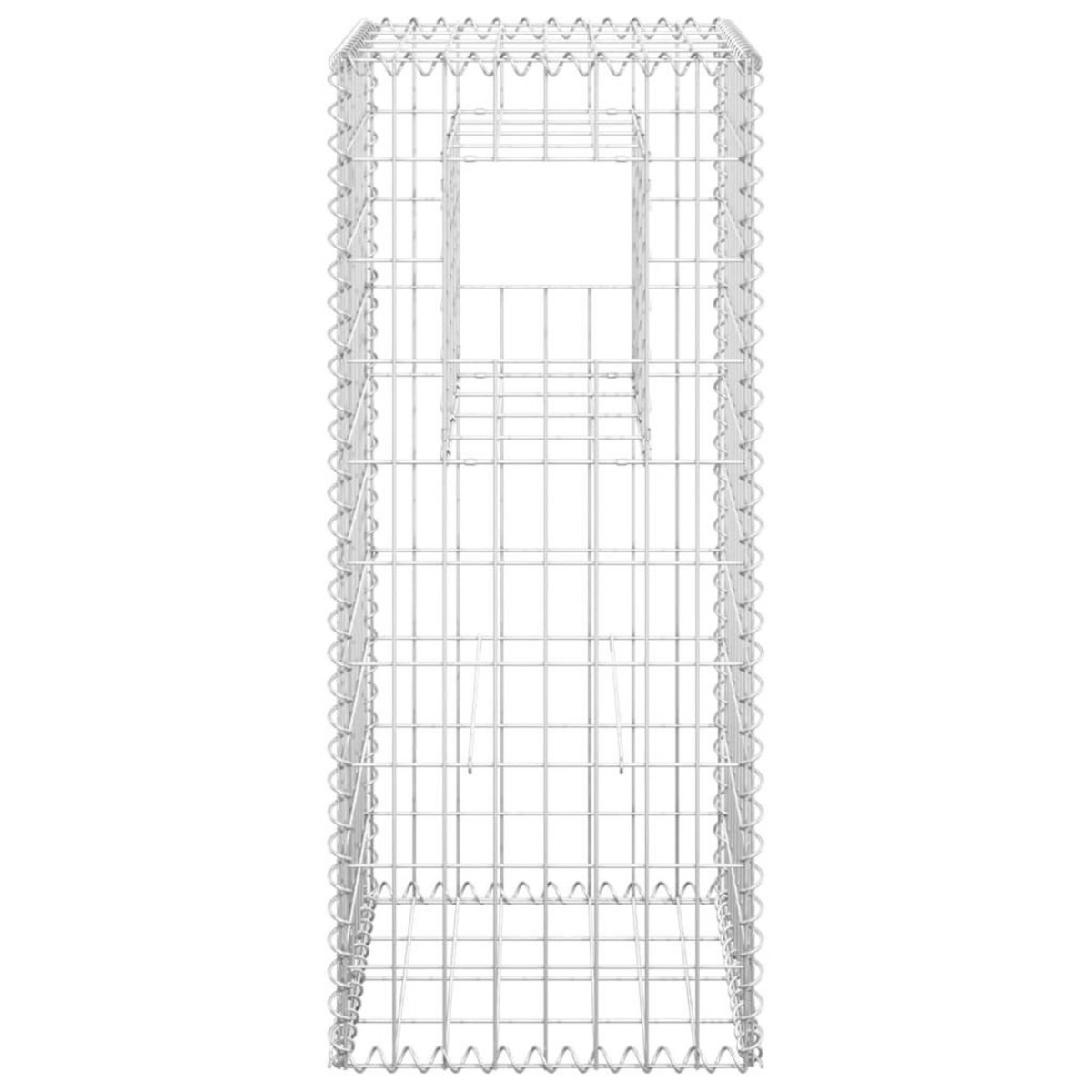 VIDAXL Poteaux a panier de gabion 2 pcs 40x40x100 cm Fer