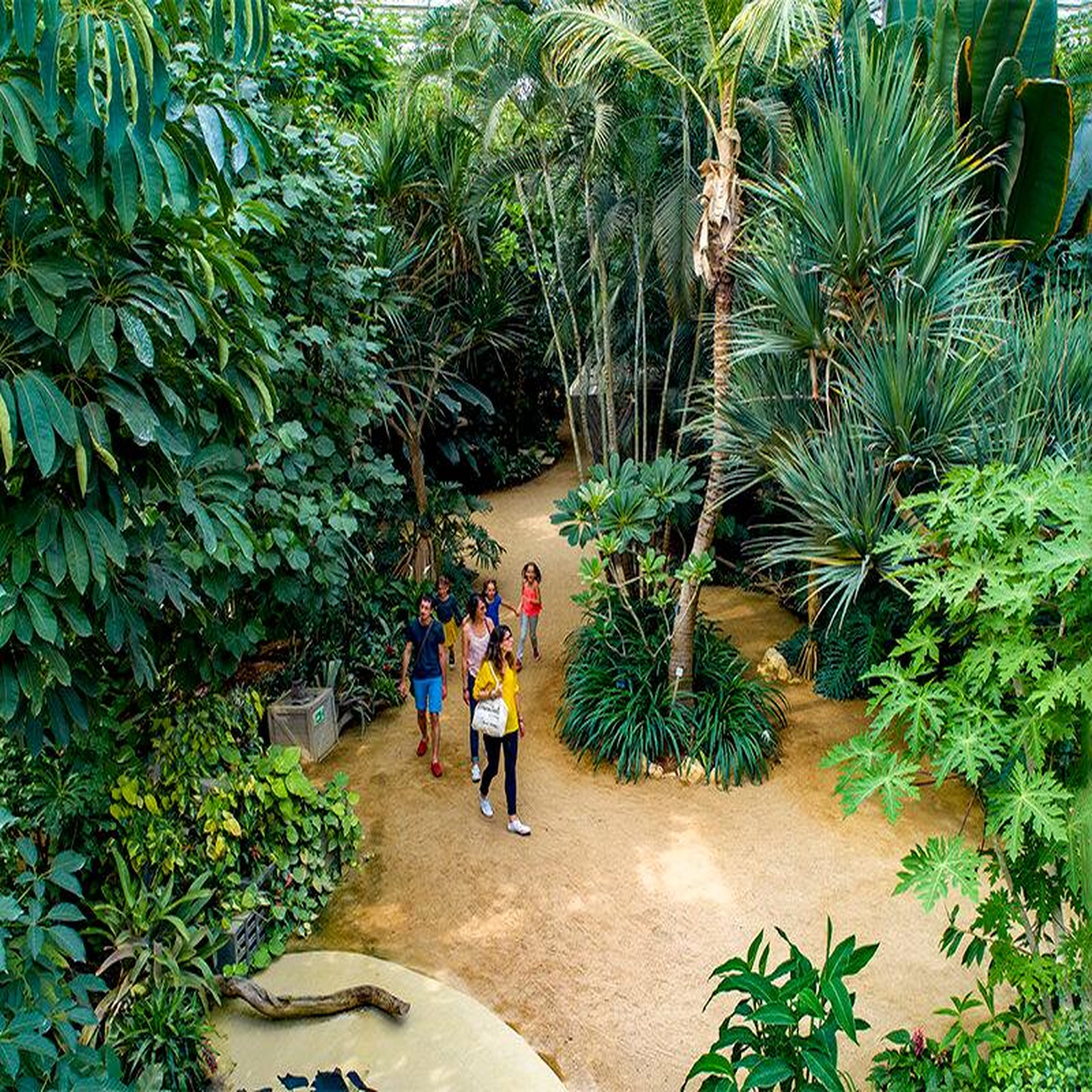 Voir la diapositive 3 : Smartbox Terra Botanica en famille : entrée pour 2 adultes et 1 enfant au parc ludique d'Angers - Coffret Cadeau Sport & Aventure