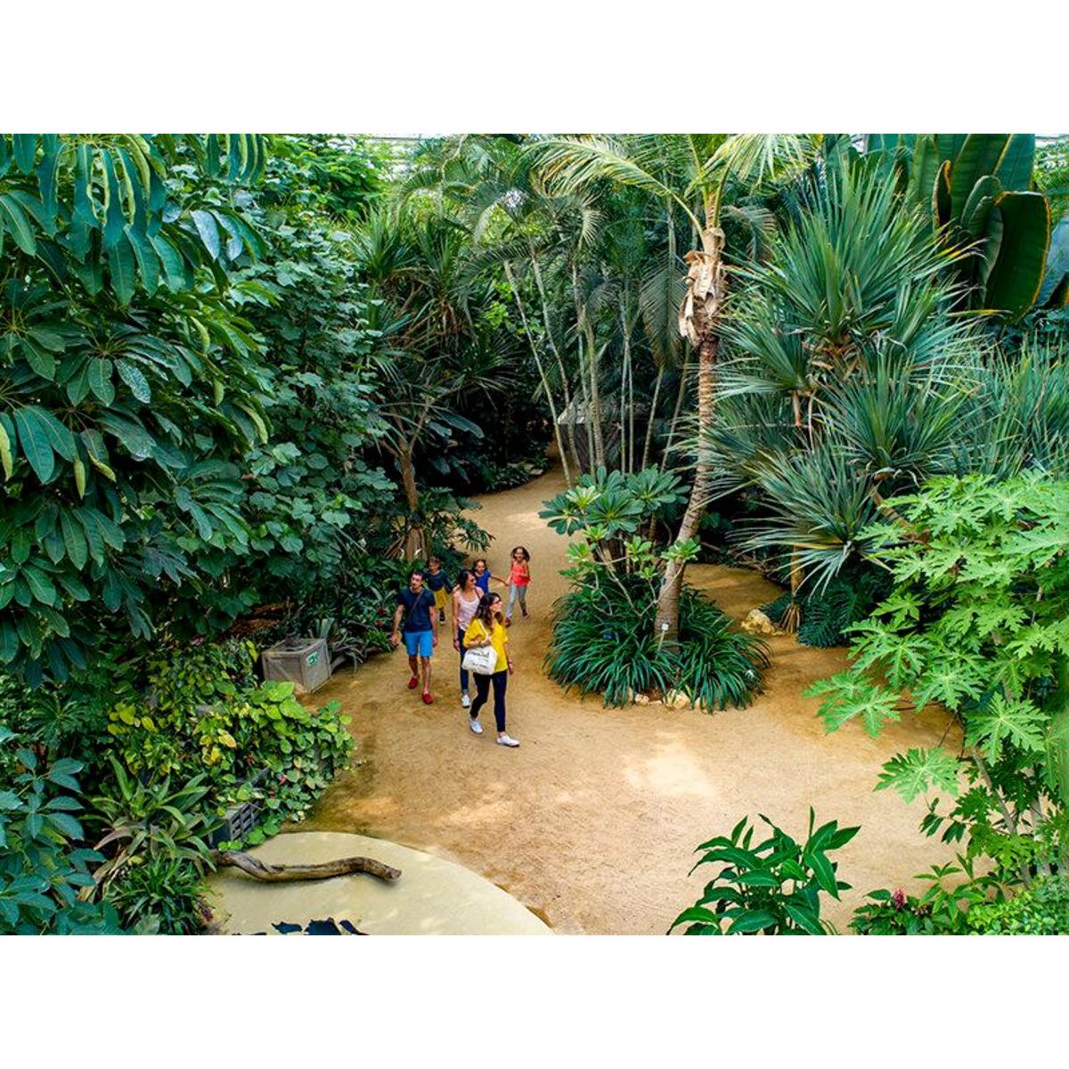 Smartbox Terra Botanica en famille : entrée pour 2 adultes et 1 enfant au parc ludique d'Angers - Coffret Cadeau Sport & Aventure