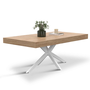 Voir la diapositive 1 : ID MARKET Table basse rectangle ALIX 110 cm pied araignée bois et blanc