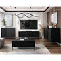 Voir la diapositive 2 : BEST MOBILIER Girona - meuble tv - noir - 2 portes et 2 tiroirs - 174 cm