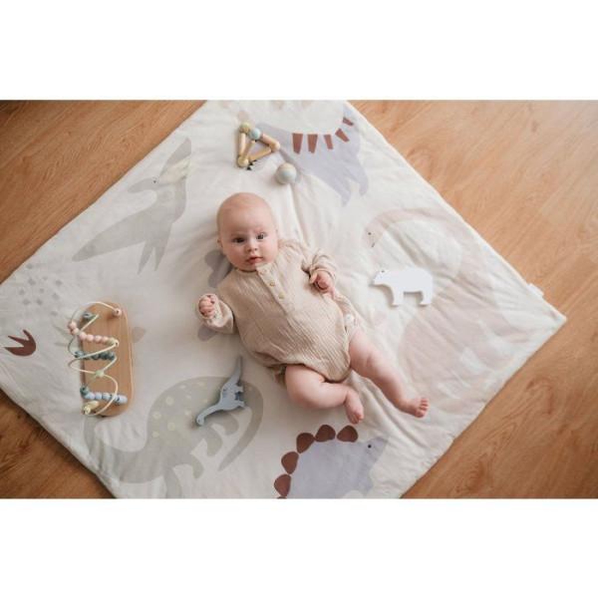 Voir la diapositive 6 : TINEO Tapis de jeu nomade - TINEO - 100 x 100 cm - Dinosaures