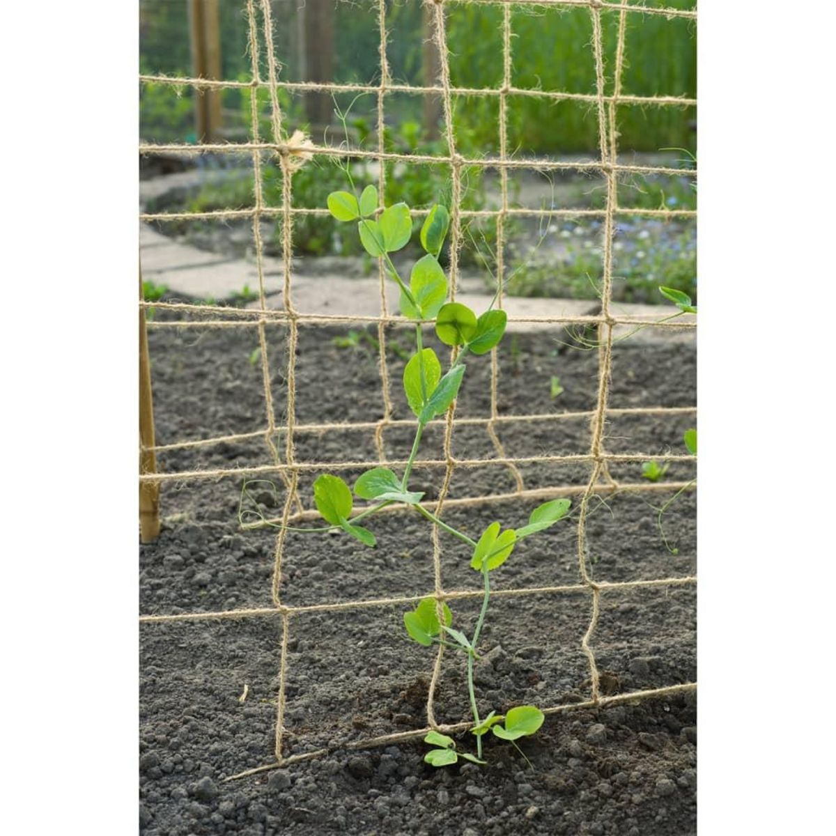 NATURE Nature Filet pour plantes grimpantes en jute 1,8x5 m naturel