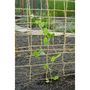 Voir la diapositive 5 : NATURE Nature Filet pour plantes grimpantes en jute 1,8x5 m naturel