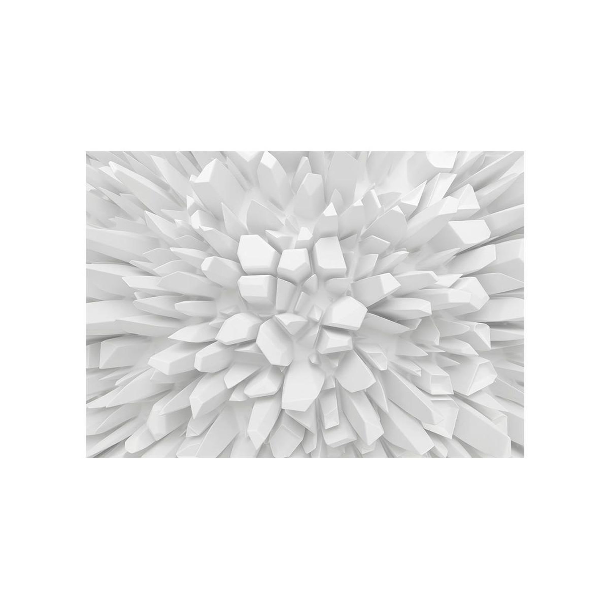 Voir la diapositive 2 : Paris Prix Papier peint  white dahlia