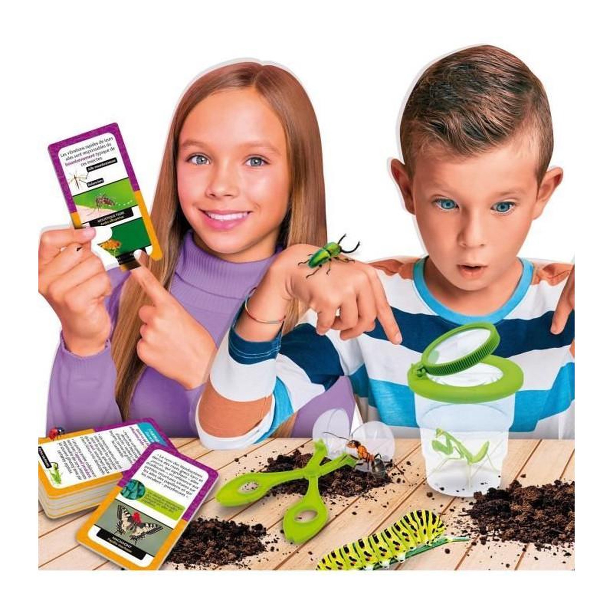 Voir la diapositive 3 : LISCIANI GIOCHI Découverte des insectes - Kit Scientifique - I'M A GENIUS POCKET