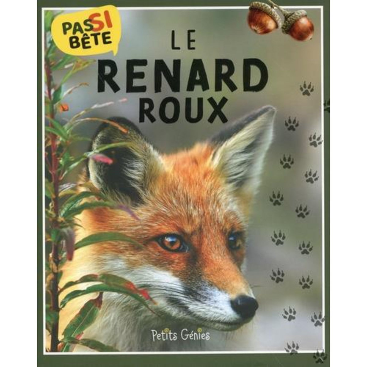 LE RENARD ROUX, Bonin Pierre-Alexandre