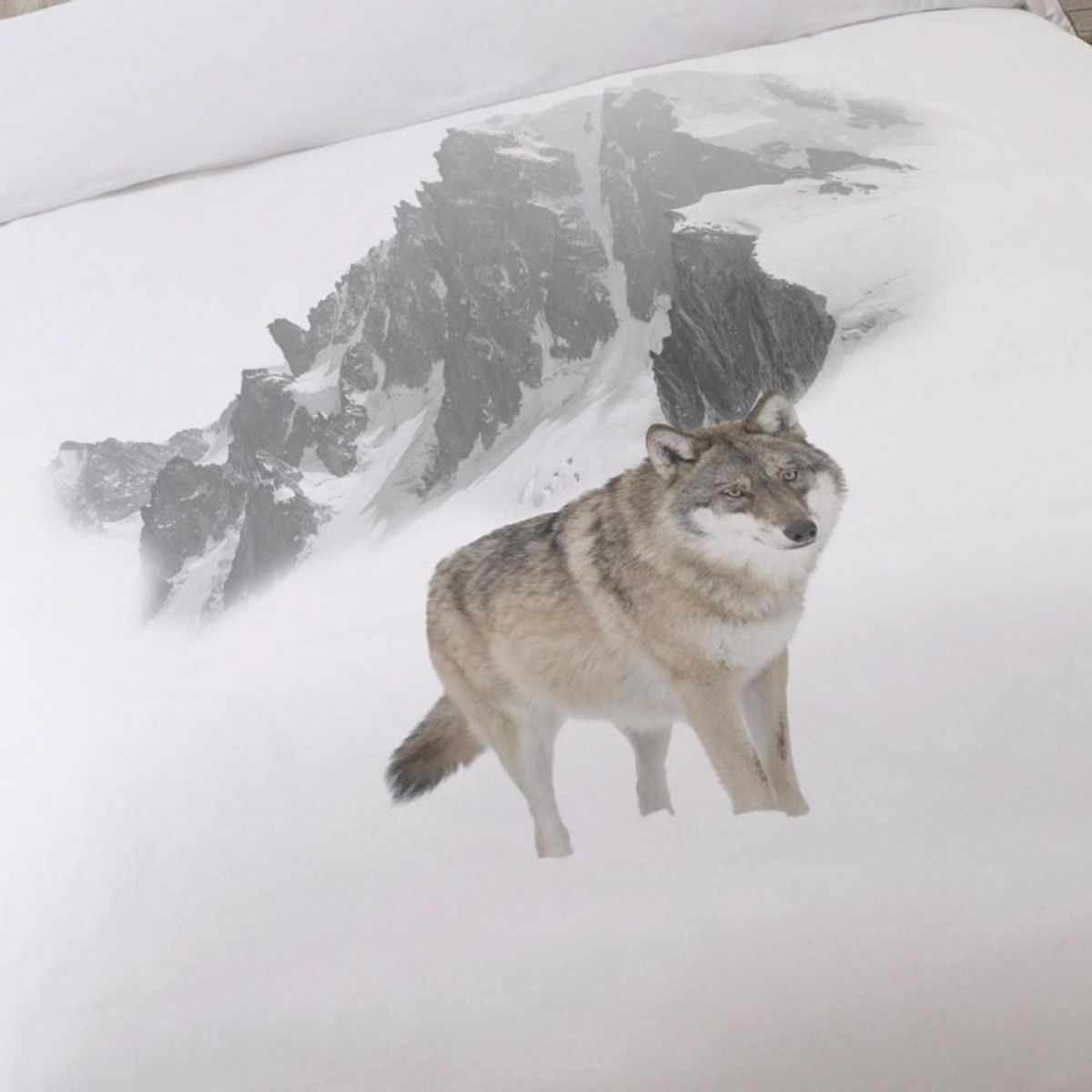 Dourev Housse de couette 260x240 CIMES + 2 taies 100% coton