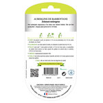 LES DOIGTS VERTS Graines aubergine de Barbentane BIO Les Doigts Verts