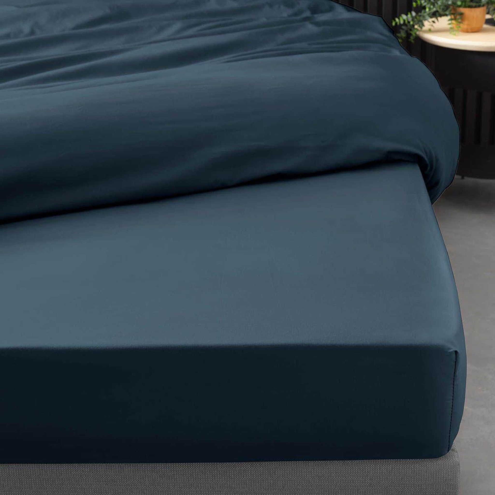 Voir la diapositive 2 : Douceur d'Intérieur Drap housse  percaline  160x200cm bleu nuit