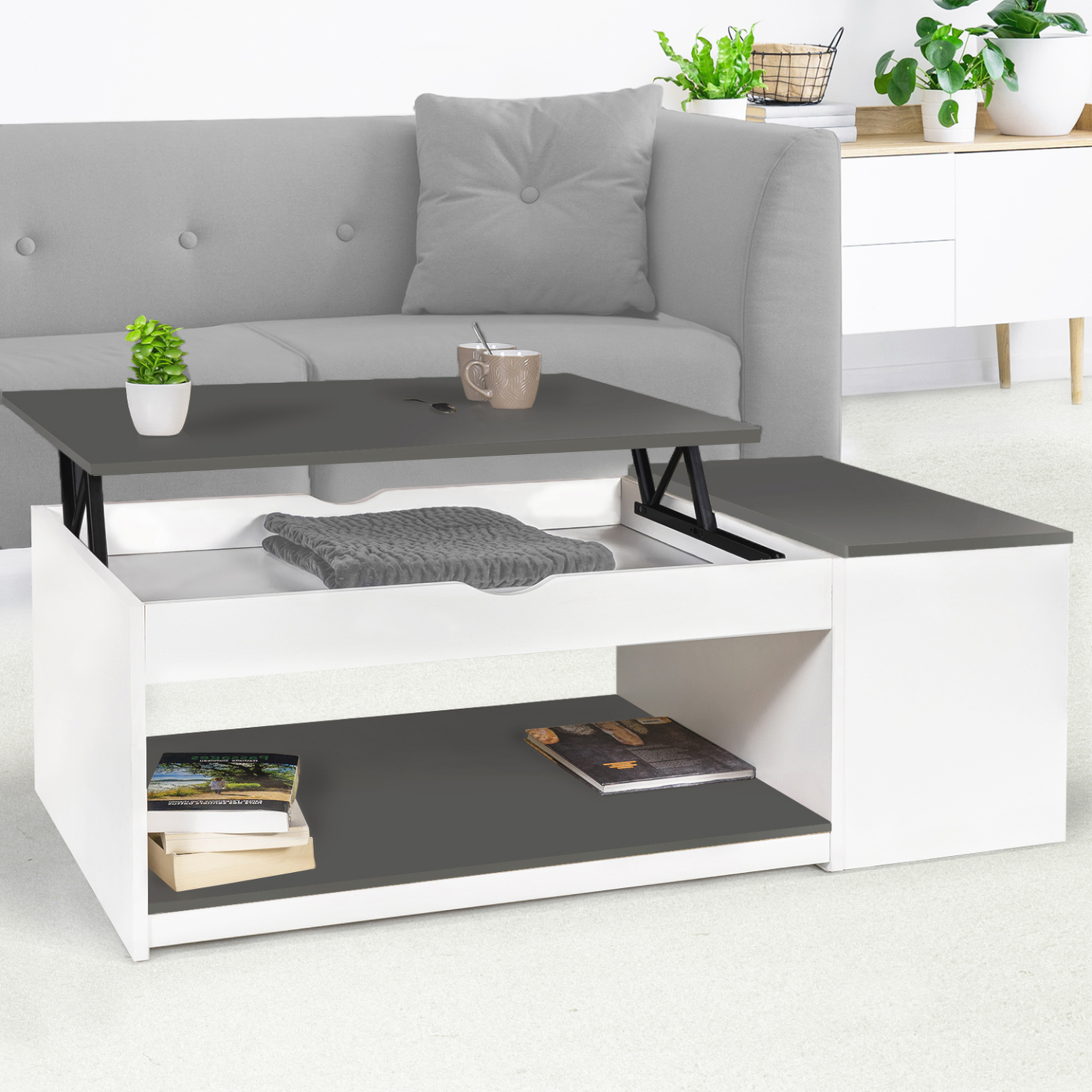 Voir la diapositive 2 : ID MARKET Table basse plateau relevable rectangulaire elea avec coffre bois blanc et gris