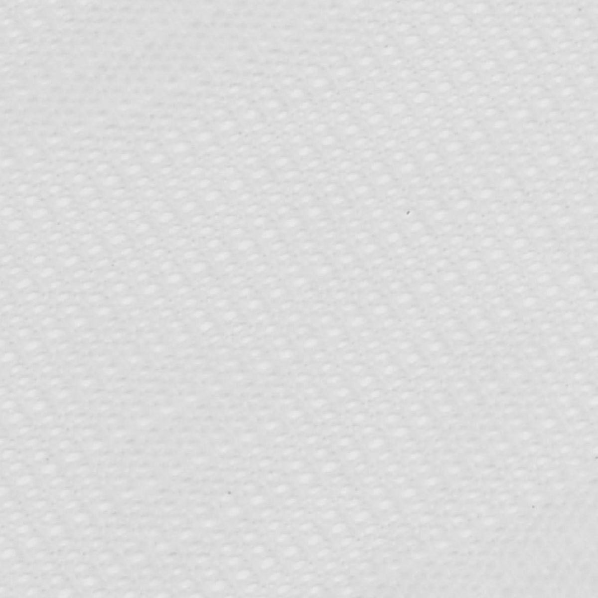 VIDAXL Tapis de tente 100x500 cm Blanc