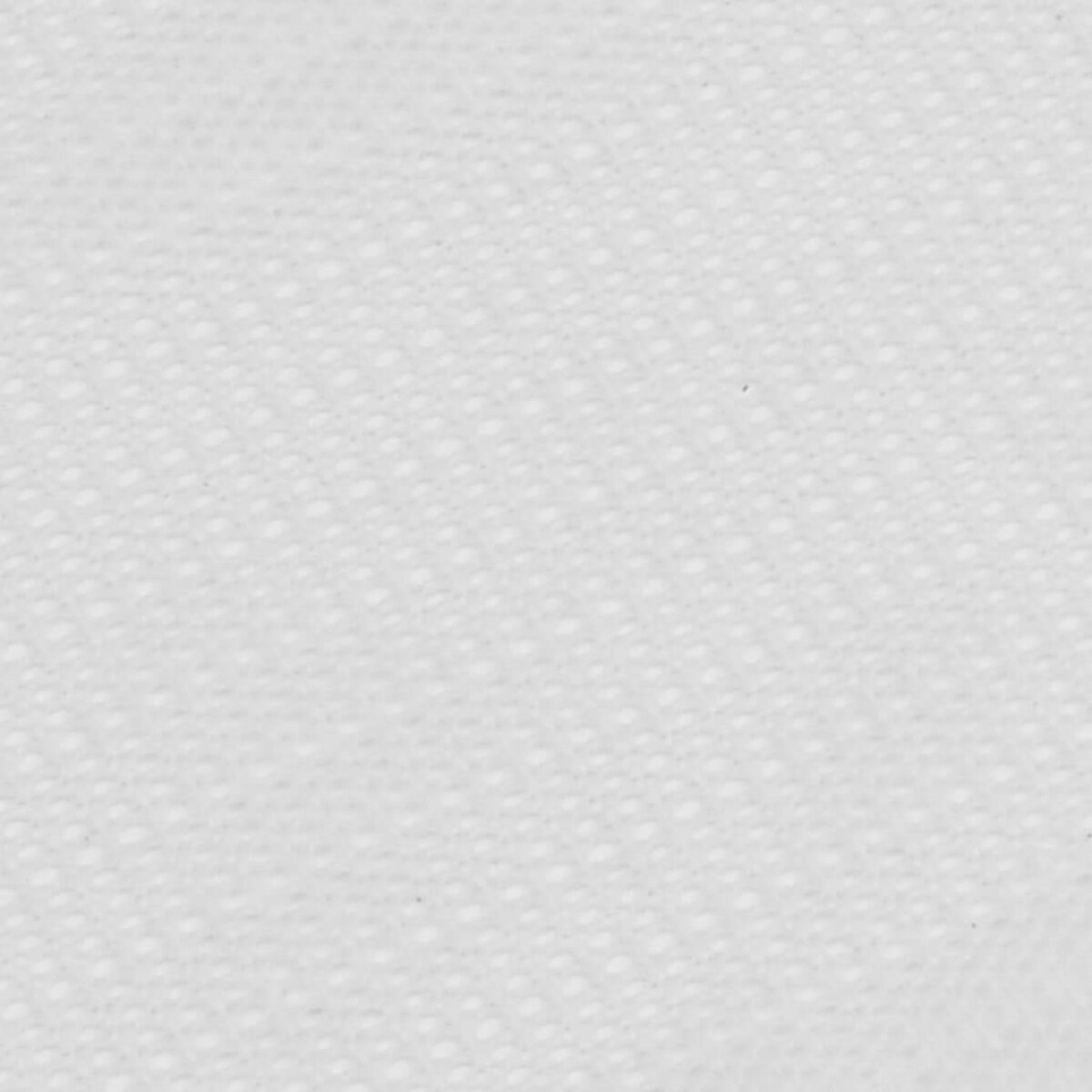 VIDAXL Tapis de tente 100x500 cm Blanc