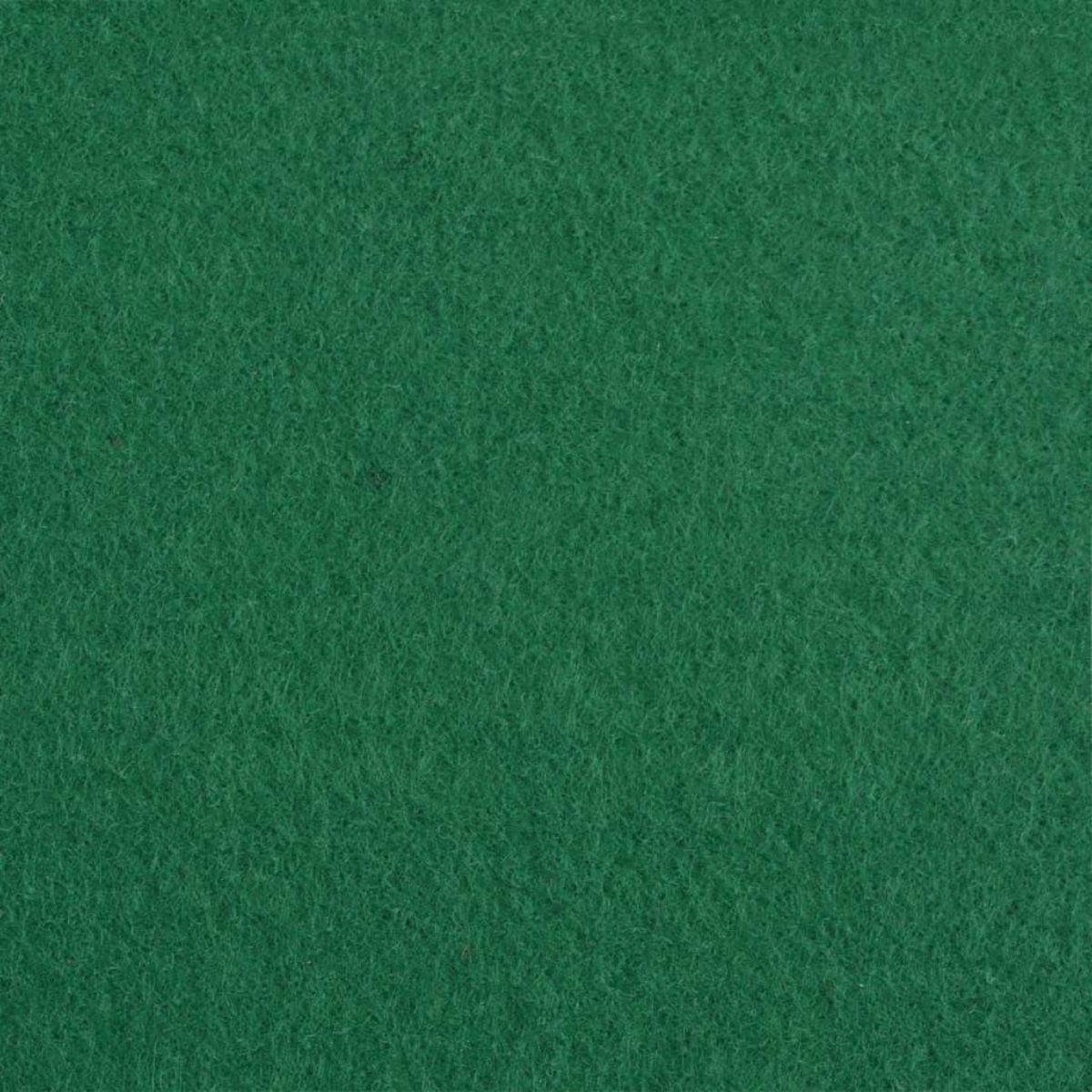 VIDAXL Tapis pour exposition 1,2x12 m Vert