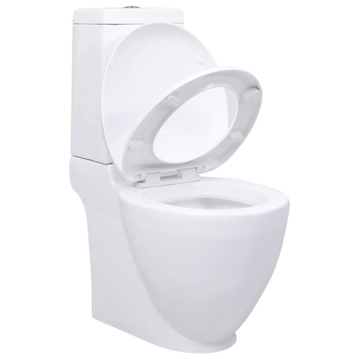VIDAXL Toilette en ceramique Ronde Ecoulement d'eau au fond Blanc