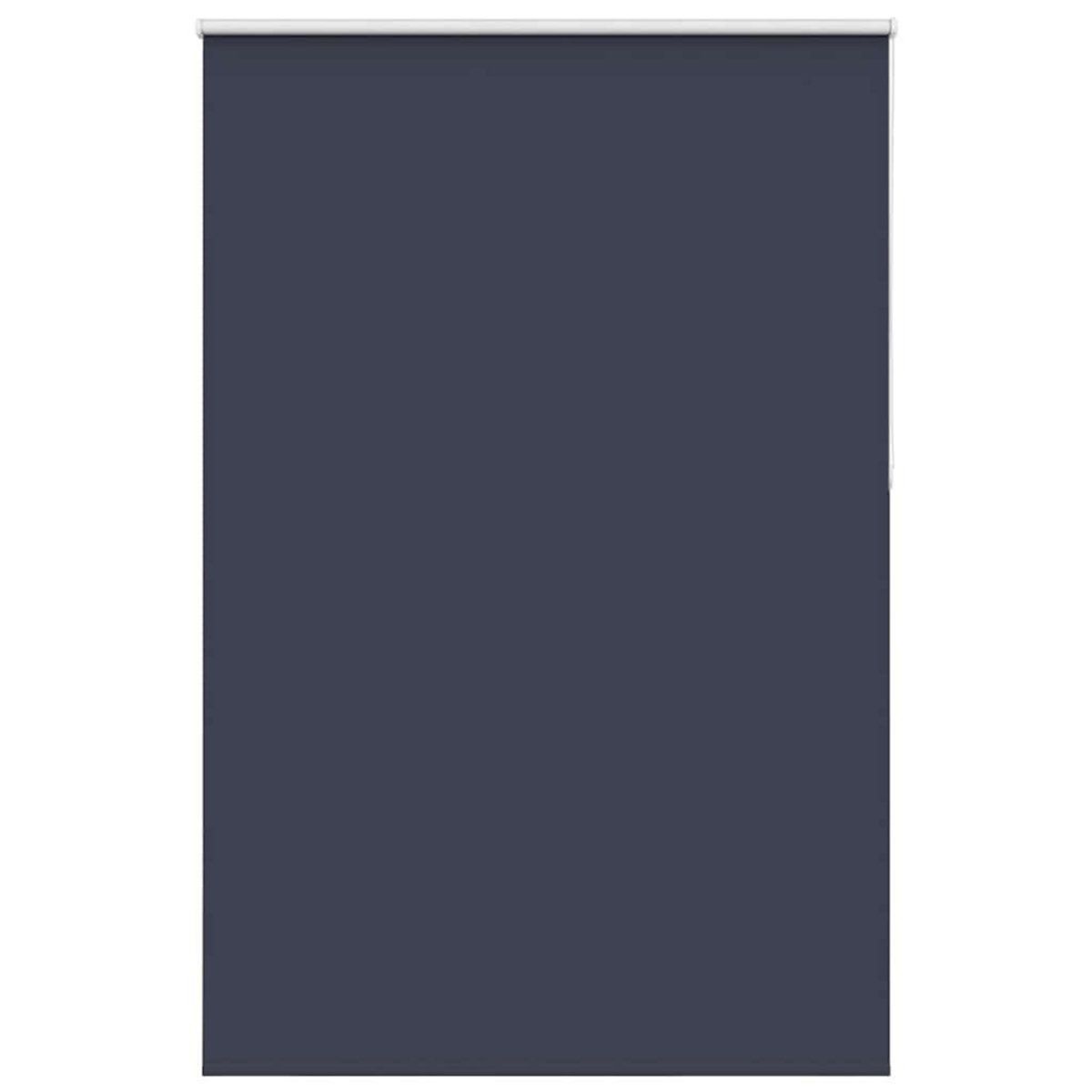 VIDAXL Store enrouleur occultant largeur du tissu 161,6 cm polyester