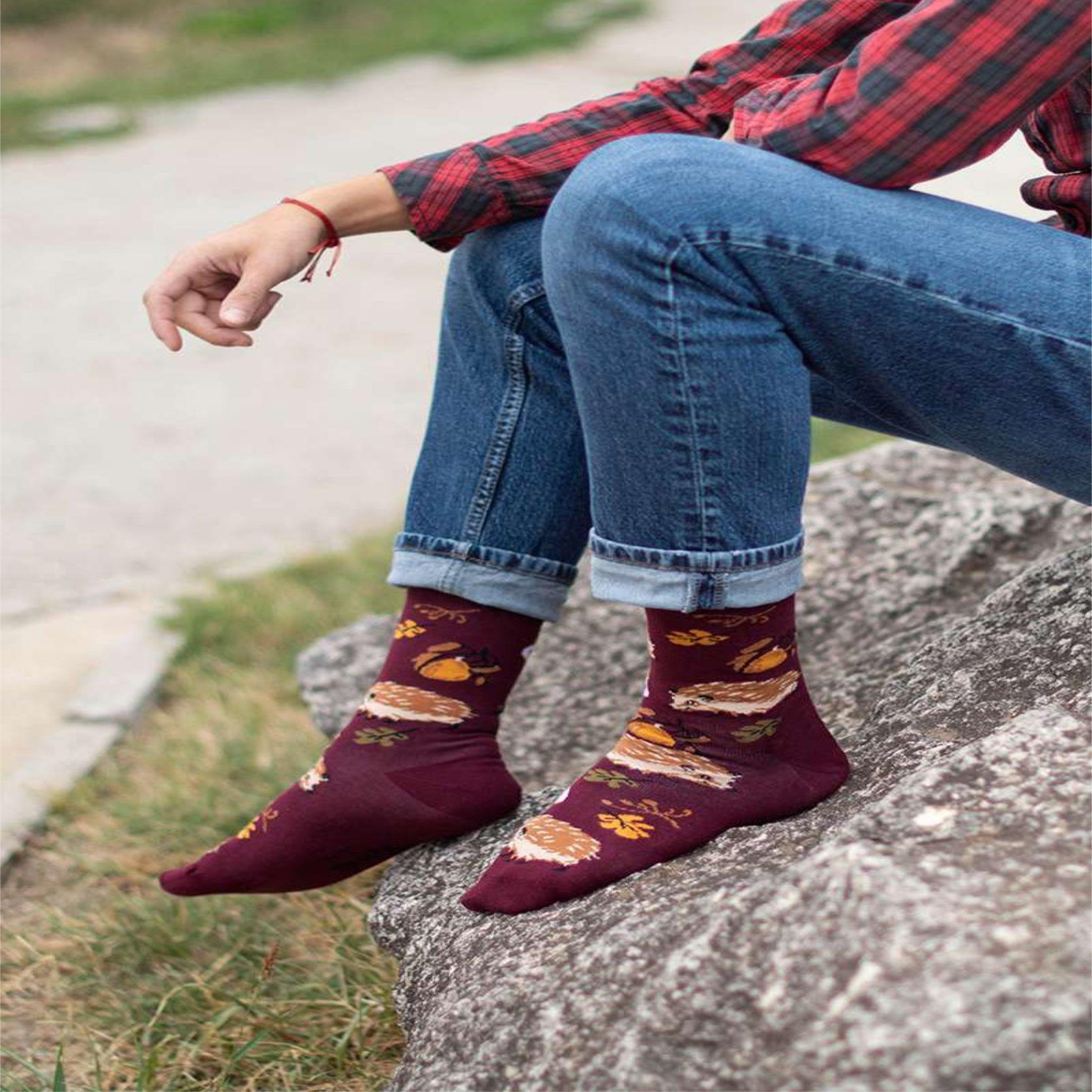 Voir la diapositive 4 : PIRIN HILL Chaussettes coton bio automne hérissons