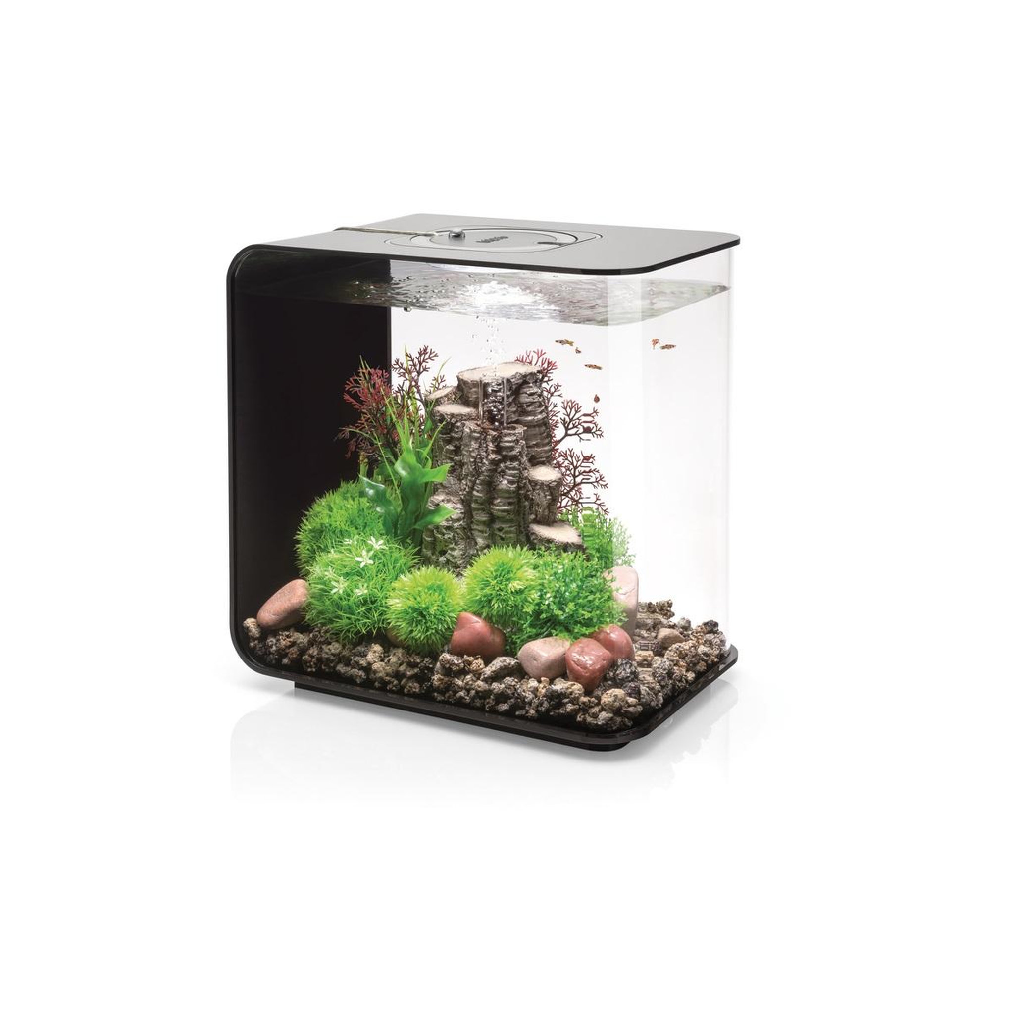 Voir la diapositive 3 : Oase Aquarium décoratif 30l led avec cadre noir - flow 30 led black