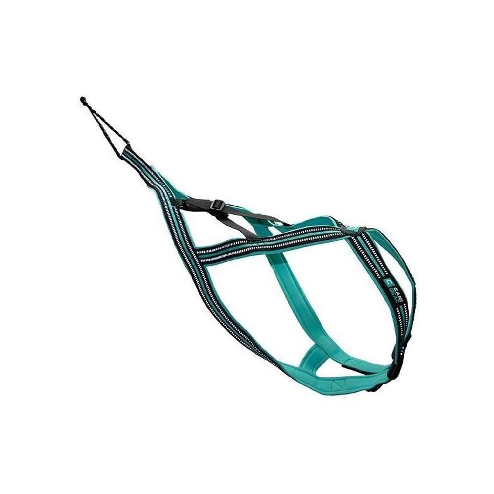 Harnais de traction pour chien - OLYMPIA - XL - Type X-back - Bleu