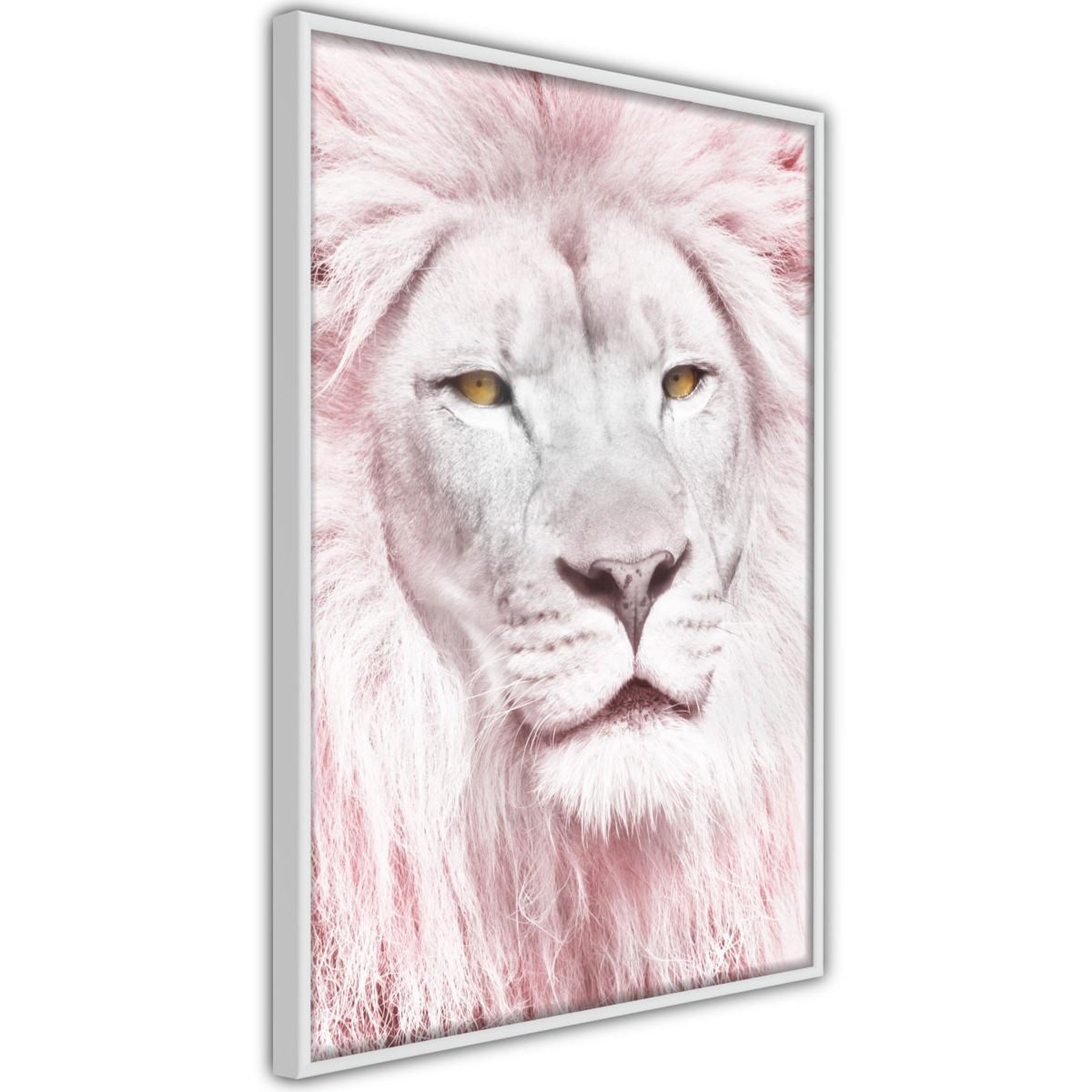 Paris Prix Affiche murale encadrée  dreamy lion