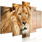 Paris Prix Tableau 5 Panneaux  The King of Beasts Wide Orange. Coloris disponibles : Multicolore