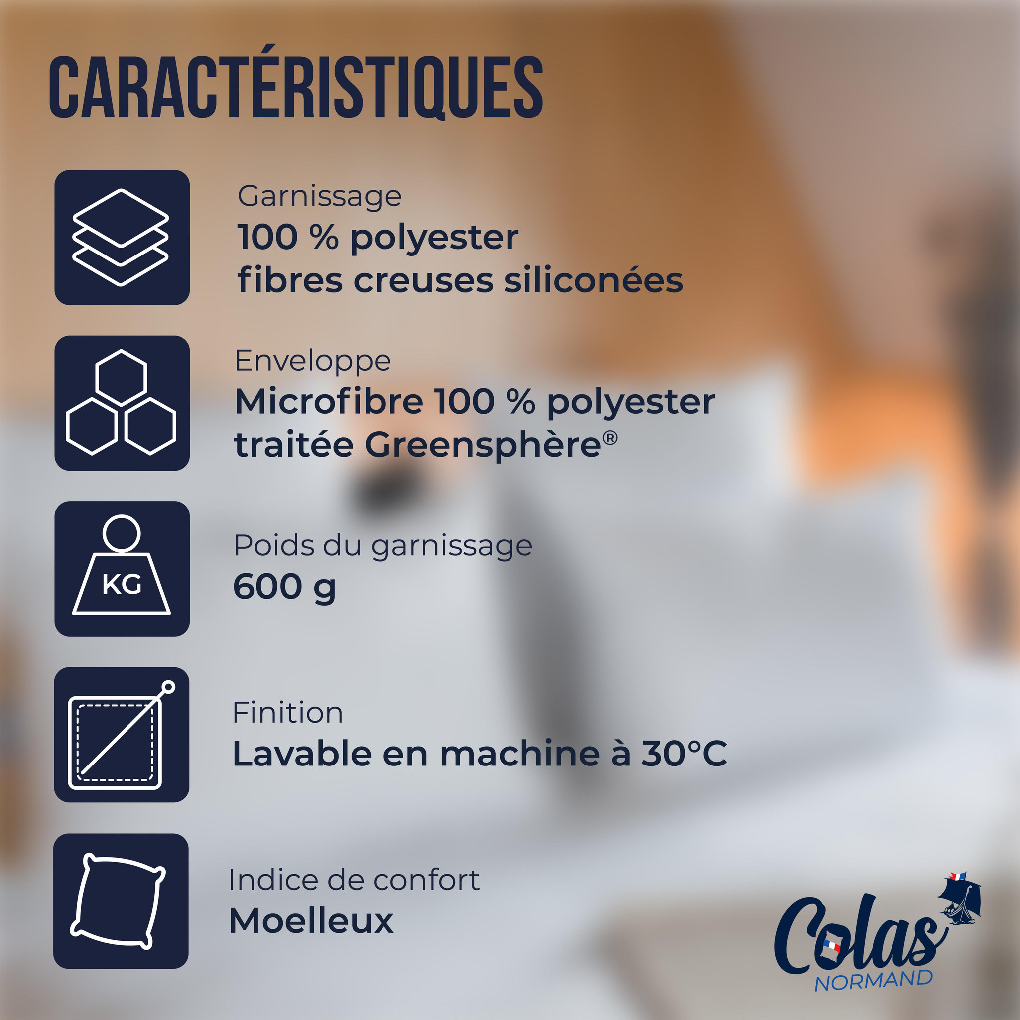 Voir la diapositive 3 : COLAS NORMAND Oreiller anti-acariens et antibactérien 50×70 cm