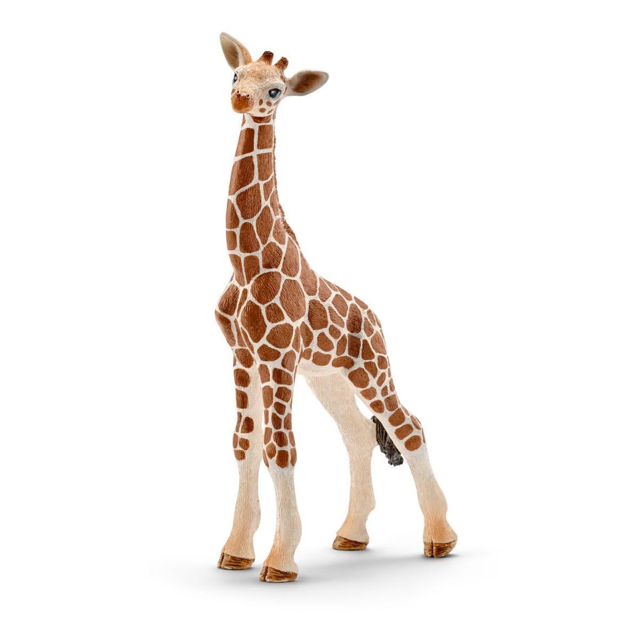 Voir la diapositive 2 : Schleich schleich WILD LIFE 14751 figurine pour enfant
