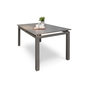 Voir la diapositive 4 : DCB GARDEN Table de jardin 240/300x100cm aluminium taupe