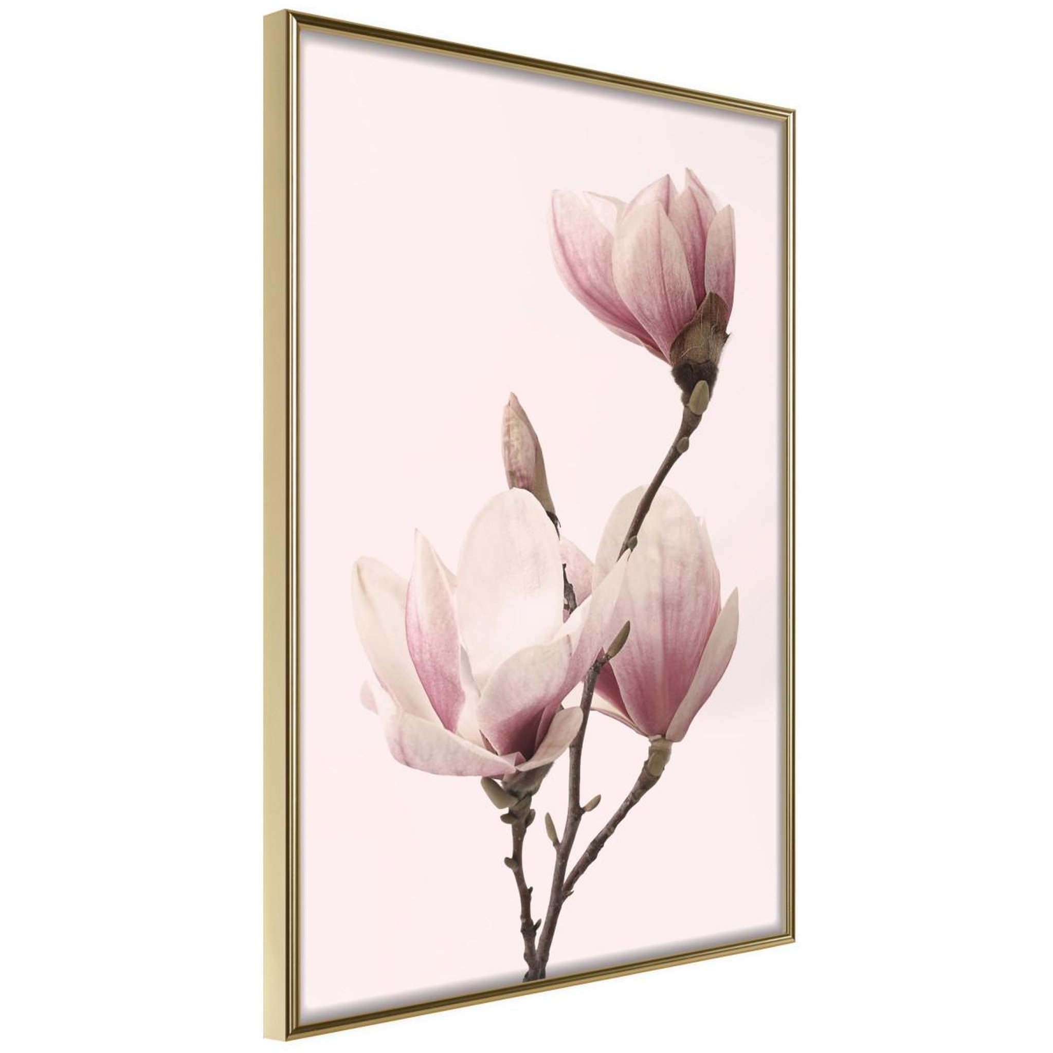 Paris Prix Affiche murale encadrée  blooming magnolias iii