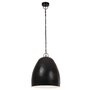 Voir la diapositive 4 : VIDAXL Lampe suspendue industrielle 25 W Noir Rond 42 cm E27