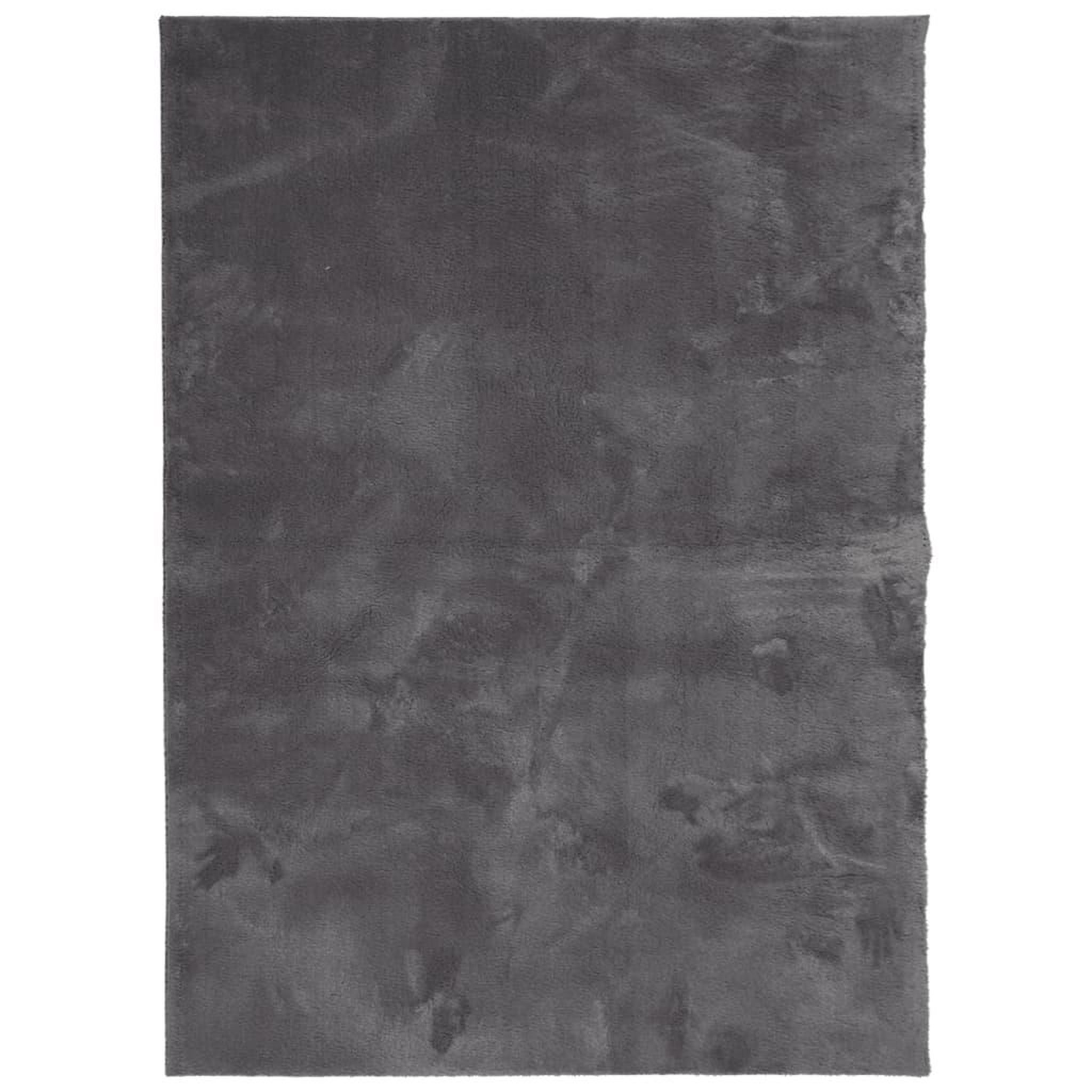 Voir la diapositive 2 : VIDAXL Tapis HUARTE a poils courts doux lavable anthracite 120x170 cm