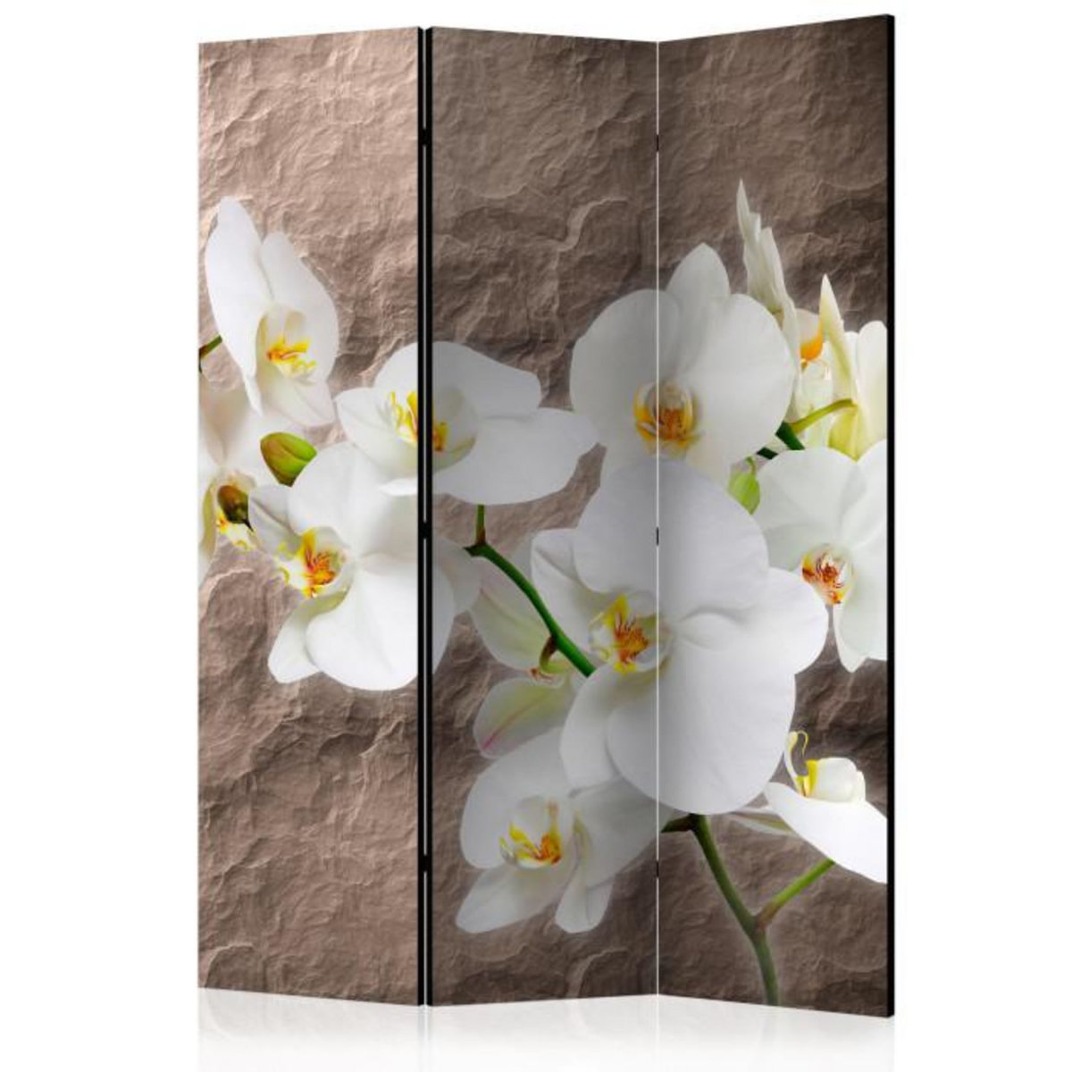 Paris Prix Paravent 3 Volets  Impeccability of the Orchid  135x172cm