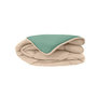 Voir la diapositive 5 : POYET MOTTE CALGARY Couette chaude Microfibre 400g/m2 Galet + Lac 240x260cm