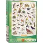 Eurographics Puzzle 1000 pièces : Charte des Oiseaux