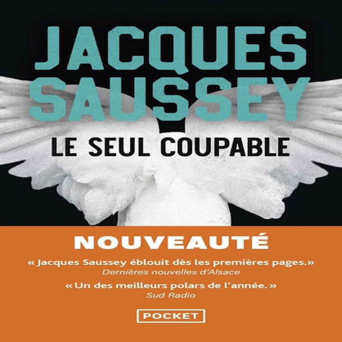 LE SEUL COUPABLE, Saussey Jacques