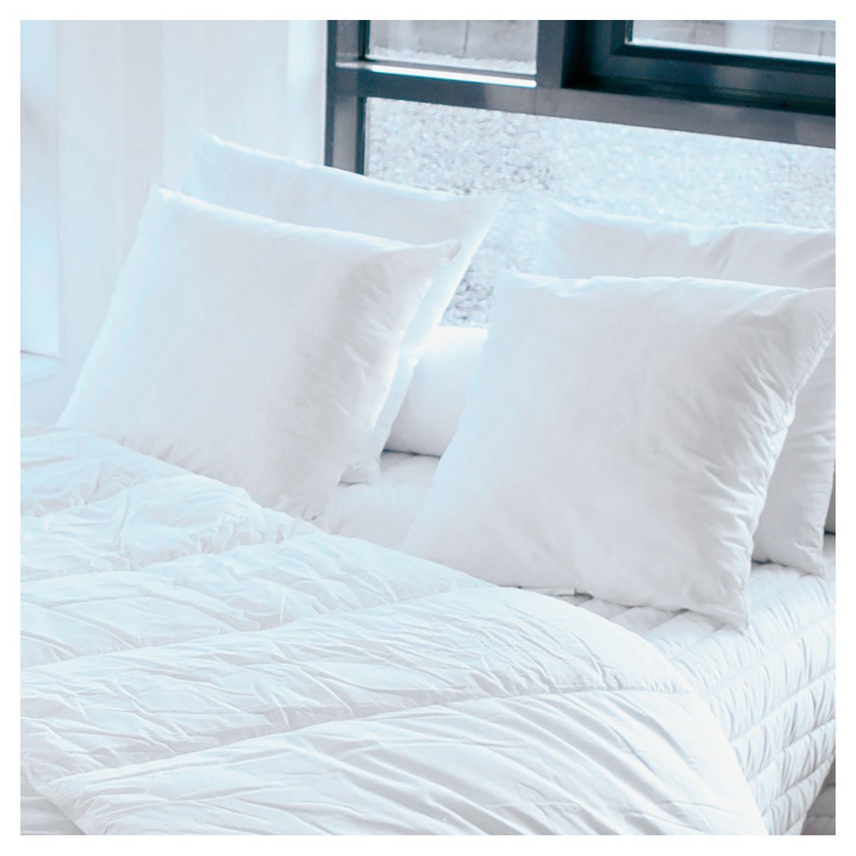 HOME COLLECTION Lot de 4 oreillers microfibre Anti-acariens CLINIGUARD