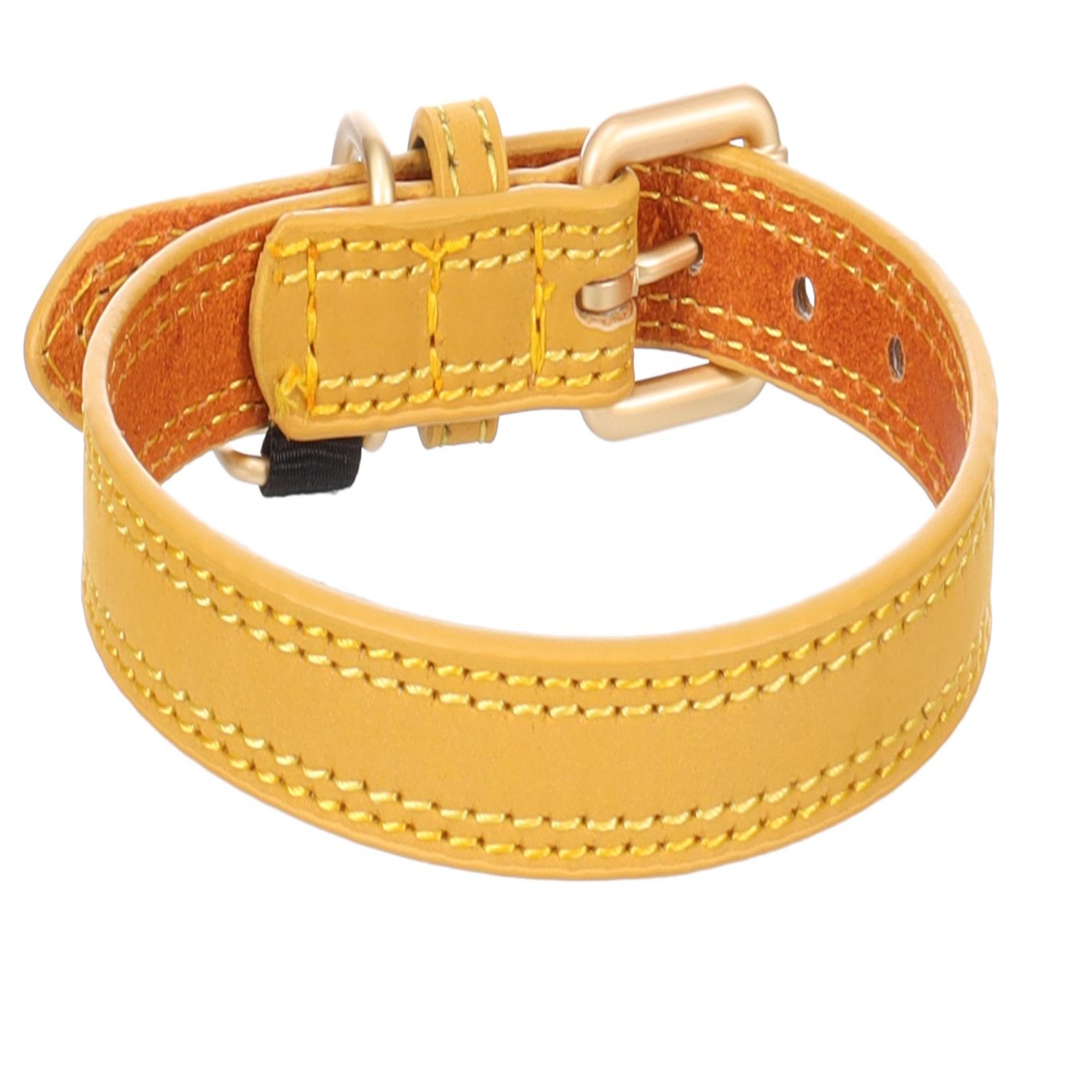 Voir la diapositive 1 : Eden Collier pour chien virginia en cuir