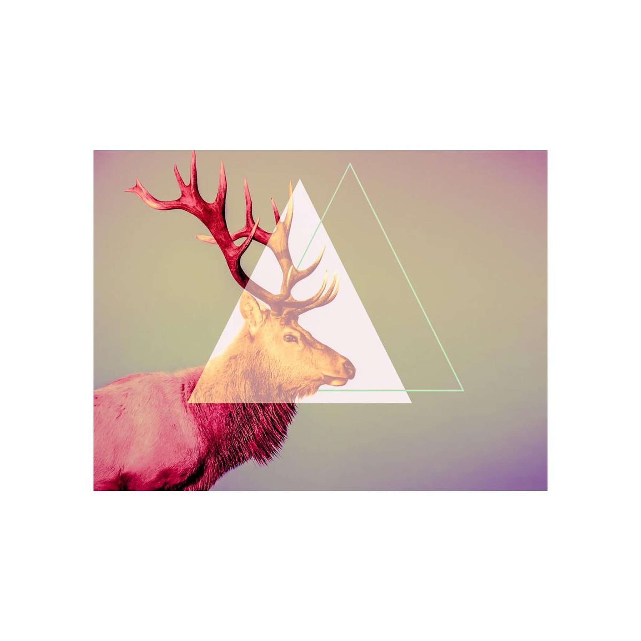 Voir la diapositive 2 : Paris Prix Papier Peint  Cerf Motif Graphique