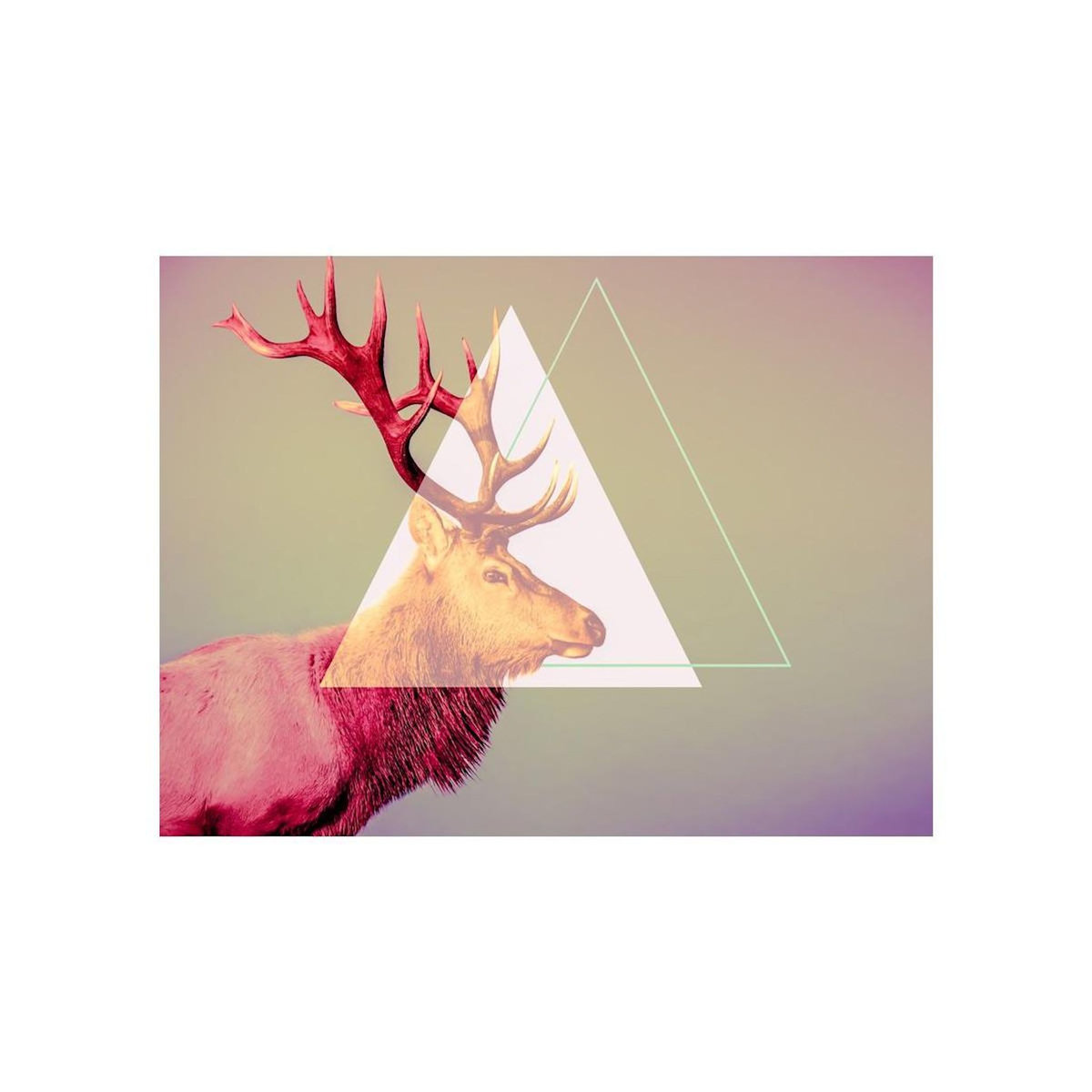 Paris Prix Papier Peint  Cerf Motif Graphique