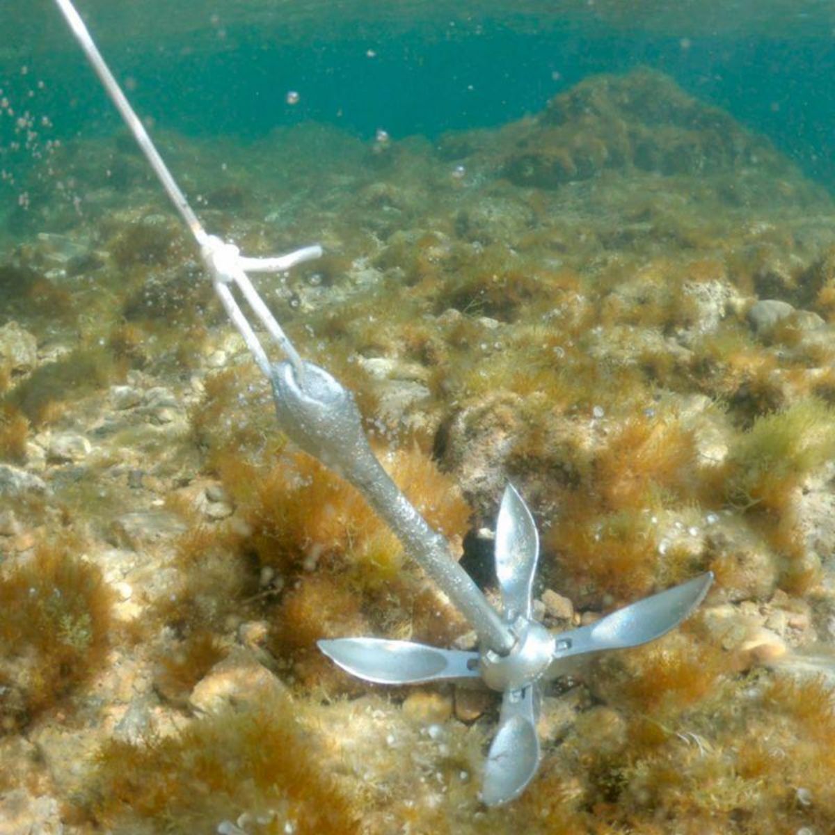 ADRENALIN Ancre d'amarrage, grappin 4 pattes, corde 15m pour Stand up paddle, Kayaks et petits bateaux à rames