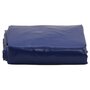Voir la diapositive 2 : VIDAXL Bache bleu 2,5x4,5 m 650 g/m²