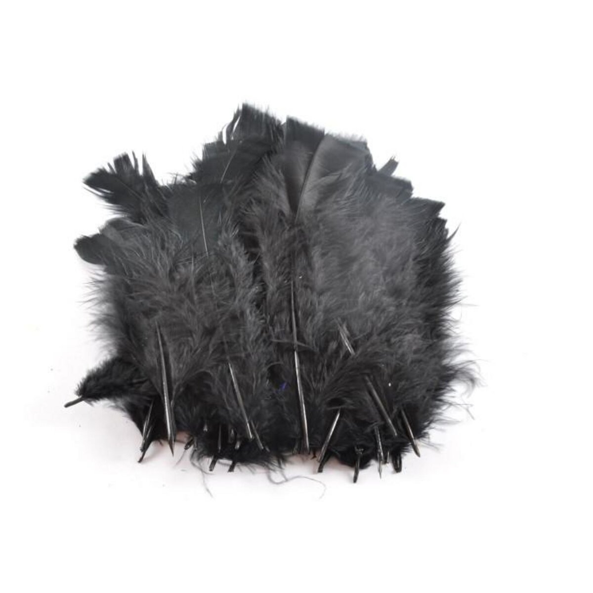 Paris Prix Lot de 35 Plumes Décoratives  Sensa  16cm Noir