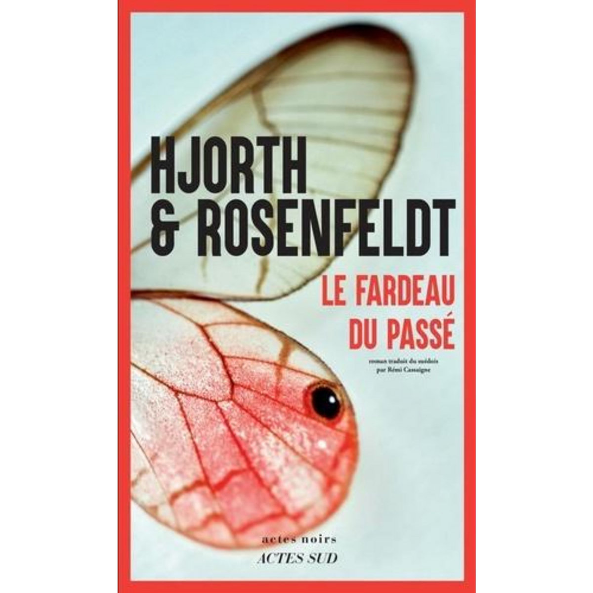 LE FARDEAU DU PASSE, Hjorth Michael
